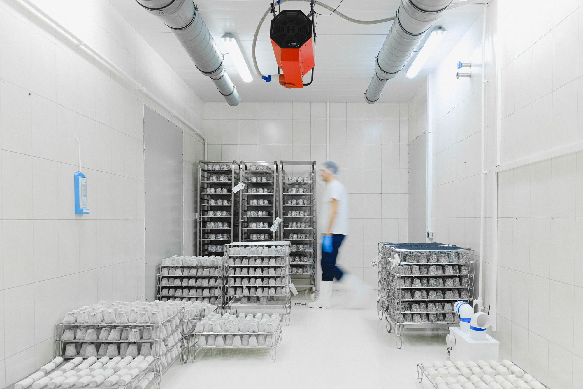 Factory — Cold Storage