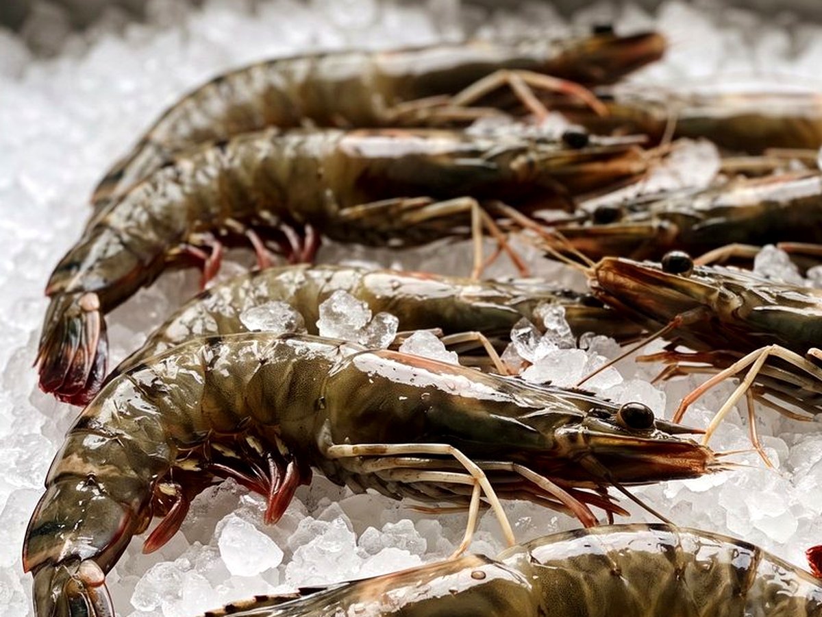 Black Tiger Shrimp
